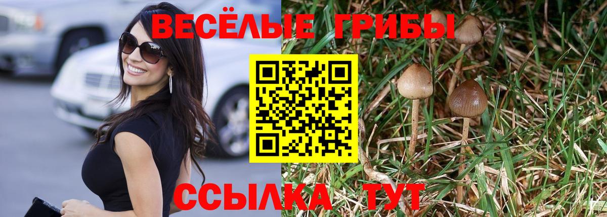 Псилоцибиновые грибы ЛСД  Вход с VPN  магазин  наркотиков  Владимир 